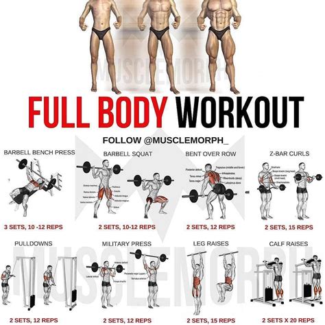 You can now download my FULL workout 